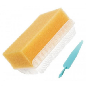 brosse-chlorexidine